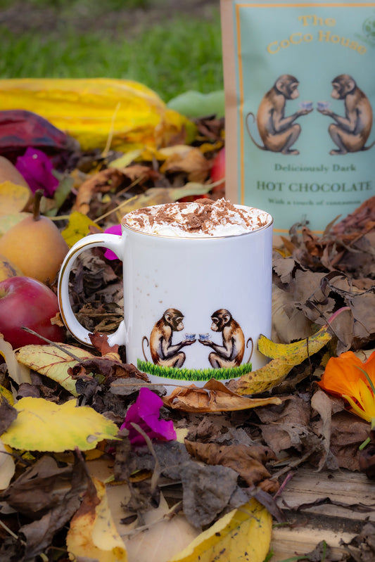 Two Monkeys - Fine bone china mug