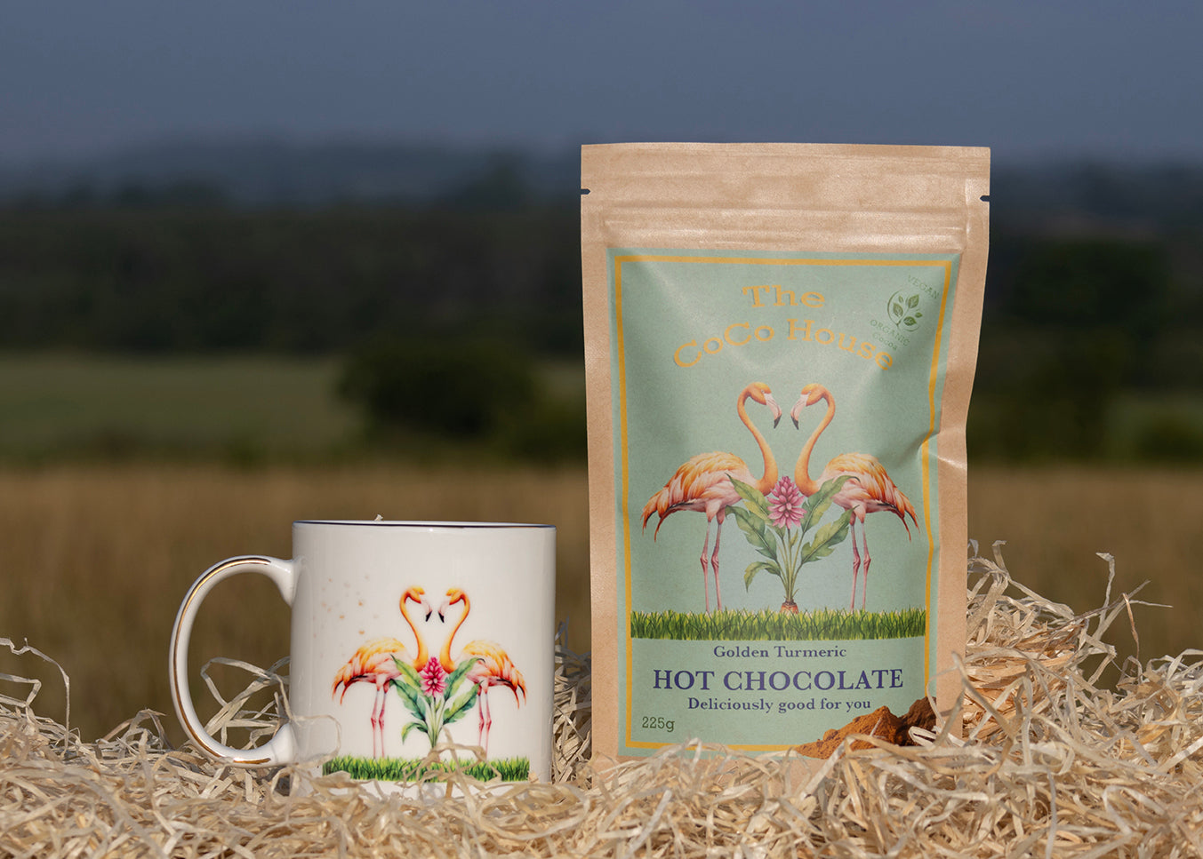 Golden Turmeric Hot Chocolate