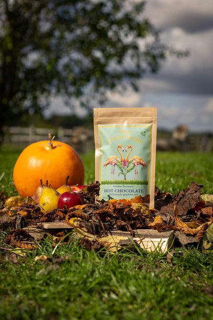 Golden Turmeric Hot Chocolate