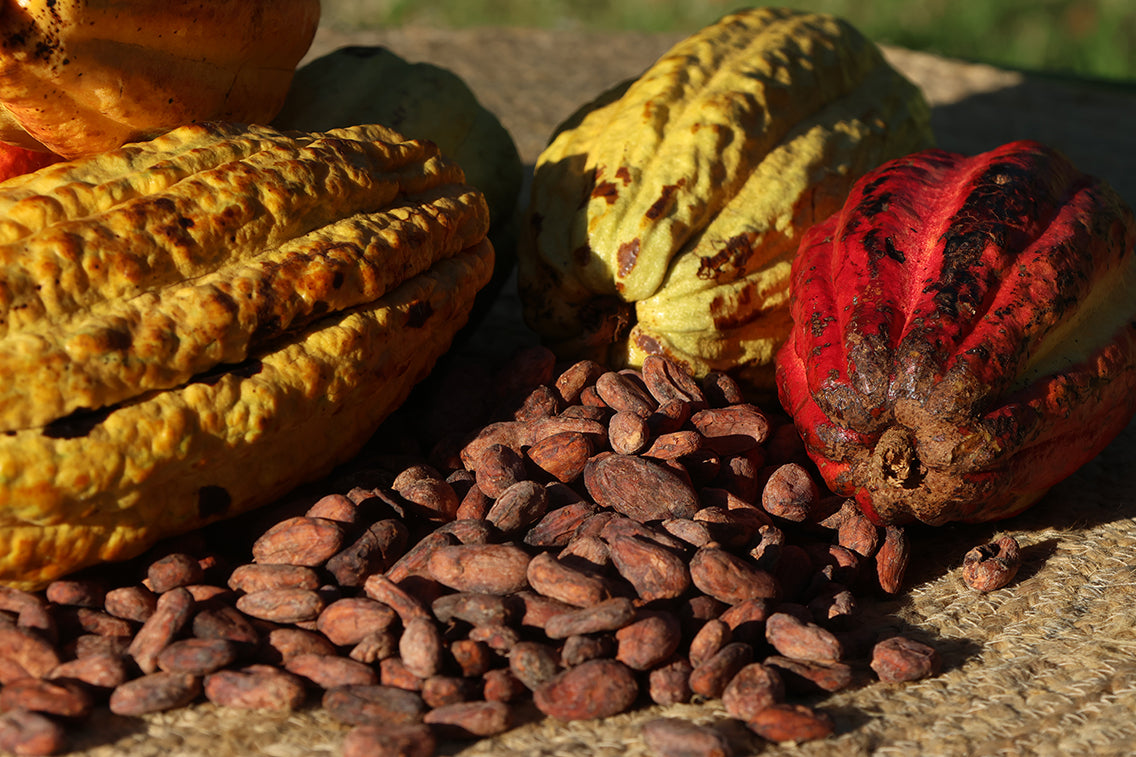 Cocoa – The Coco House UK